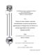 0823109.pdf.jpg