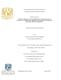 0863517.pdf.jpg