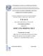 0871281.pdf.jpg