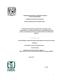0762966.pdf.jpg